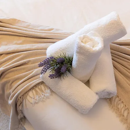 Проживание в семье So Espeto